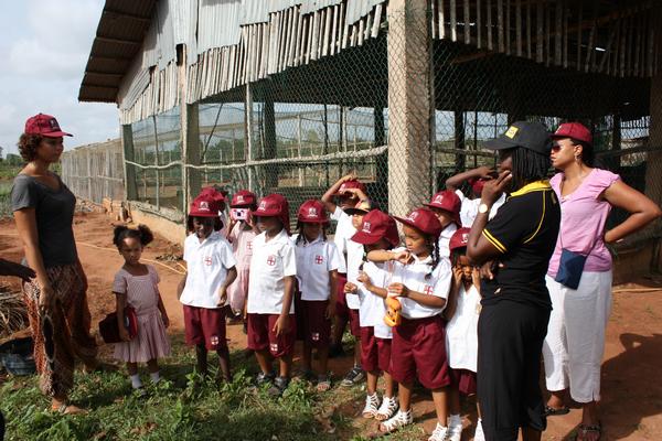 Reception and Year 1 at the farm
