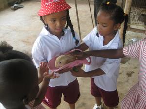 Tania and Tanais holding a baby rabbit