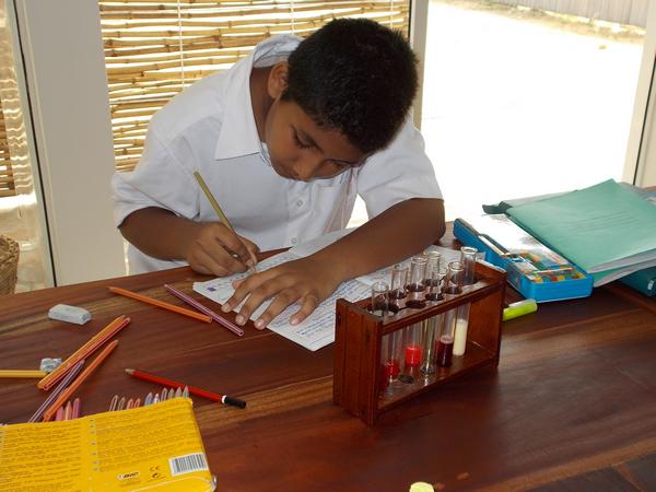 Recording observations carefully